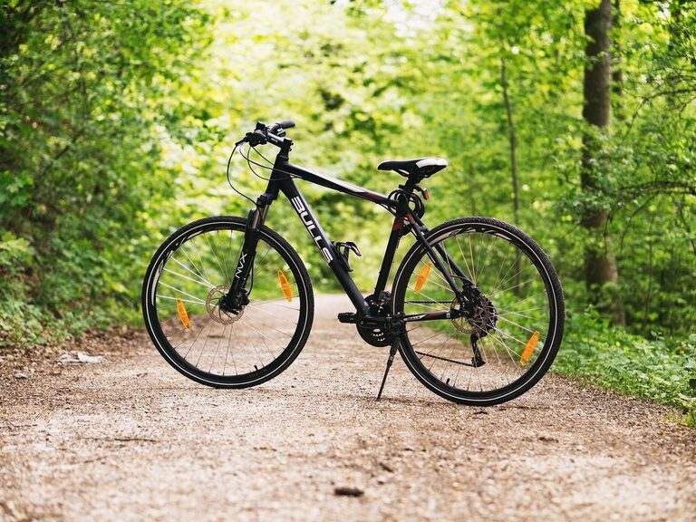 Fahrrad auf Waldweg im Naturpark Schönbuch nahe dem Ringhotel Gasthof Hasen in Herrenberg