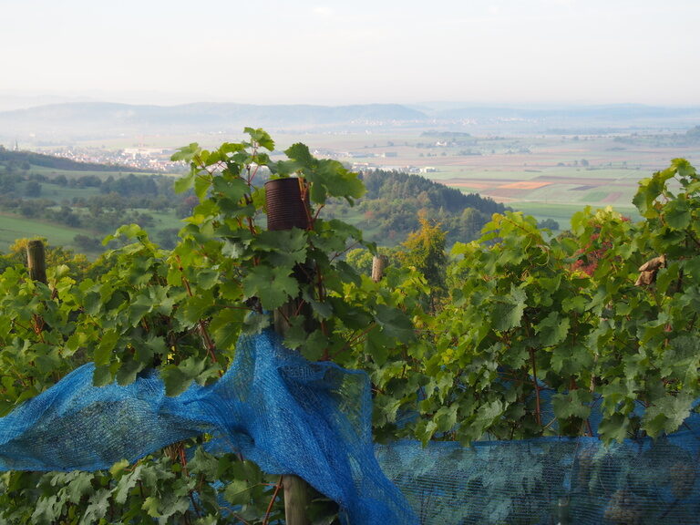 Blick über den Hasenweinberg bei Herrenberg im Naturpark Schönbuch nahe der Region Stuttgart