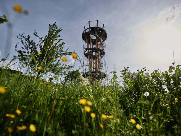 Schönbuchturm bei Herrenberg im Naturpark Schönbuch nahe der Region Stuttgart mit Blick über Wiesen und Landschaft