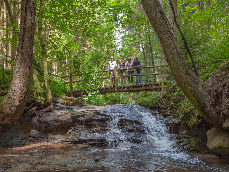 Eine Familie steht auf einer Brücke über einem Bach im dichten Schönbuch-Wald.